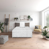 Completo letto Traumnacht Green basic composto da trapunta per tutto l'anno 135 X 200 cm + cuscino 80 X 80 cm, certificato Oeko-Tex, prodotto secondo lo standard di qualità tedesco Piumini e trapunte Naty Shop Completo letto per tutte le stagioni 135 X 200 cm