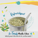 ORIGEENS BIO YERBA MATE CON MENTA E LIMONE 200 G - Freschezza I Bio Yerba Mate non torrefatto, foglie, senza steli e polvere