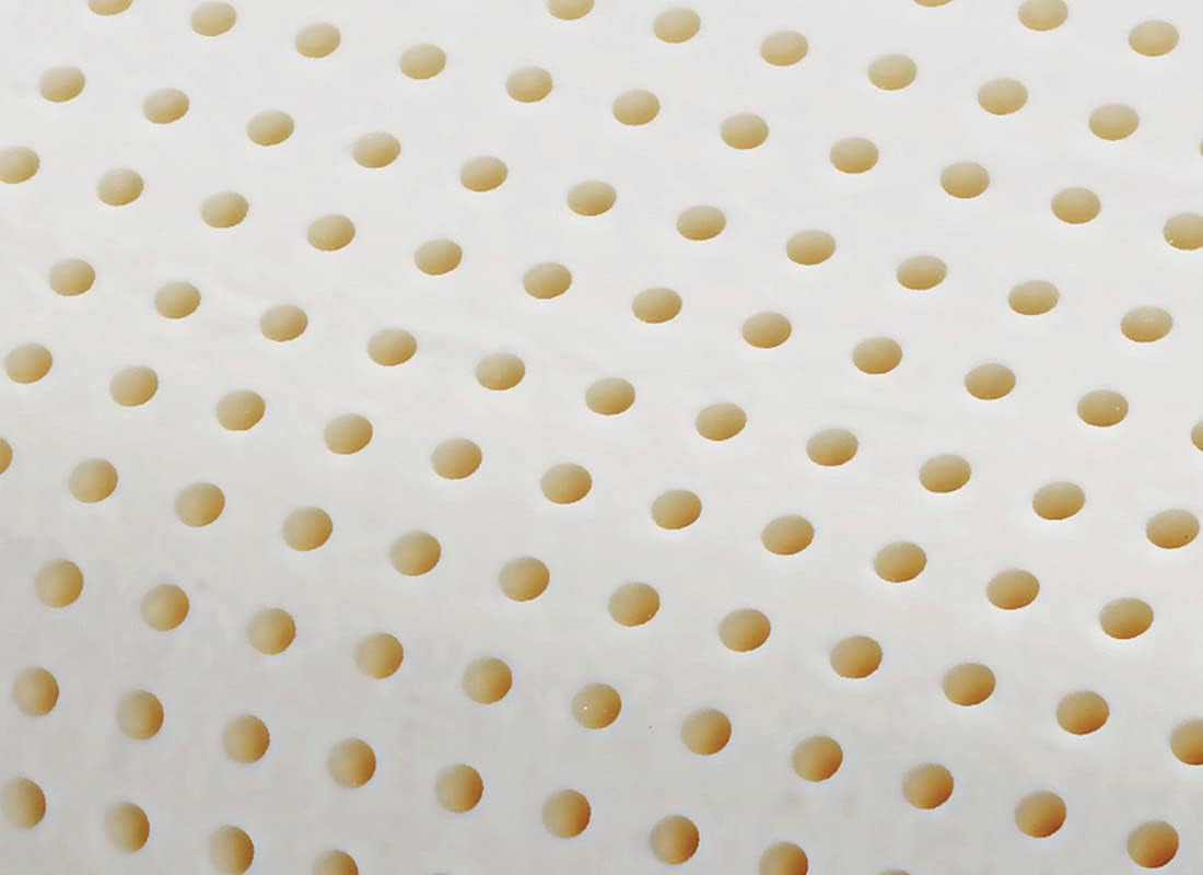 Cuscino Ortopedico Supporto Collo - Aloe Biologico - Cuscino Viscoelastico Aloe Vera Altezza 14 cm Rivestimento 100% Cotone Cuscino Visco - Cuscino Memory Foam - Made in Italy Naty Shop Cuscini Standard