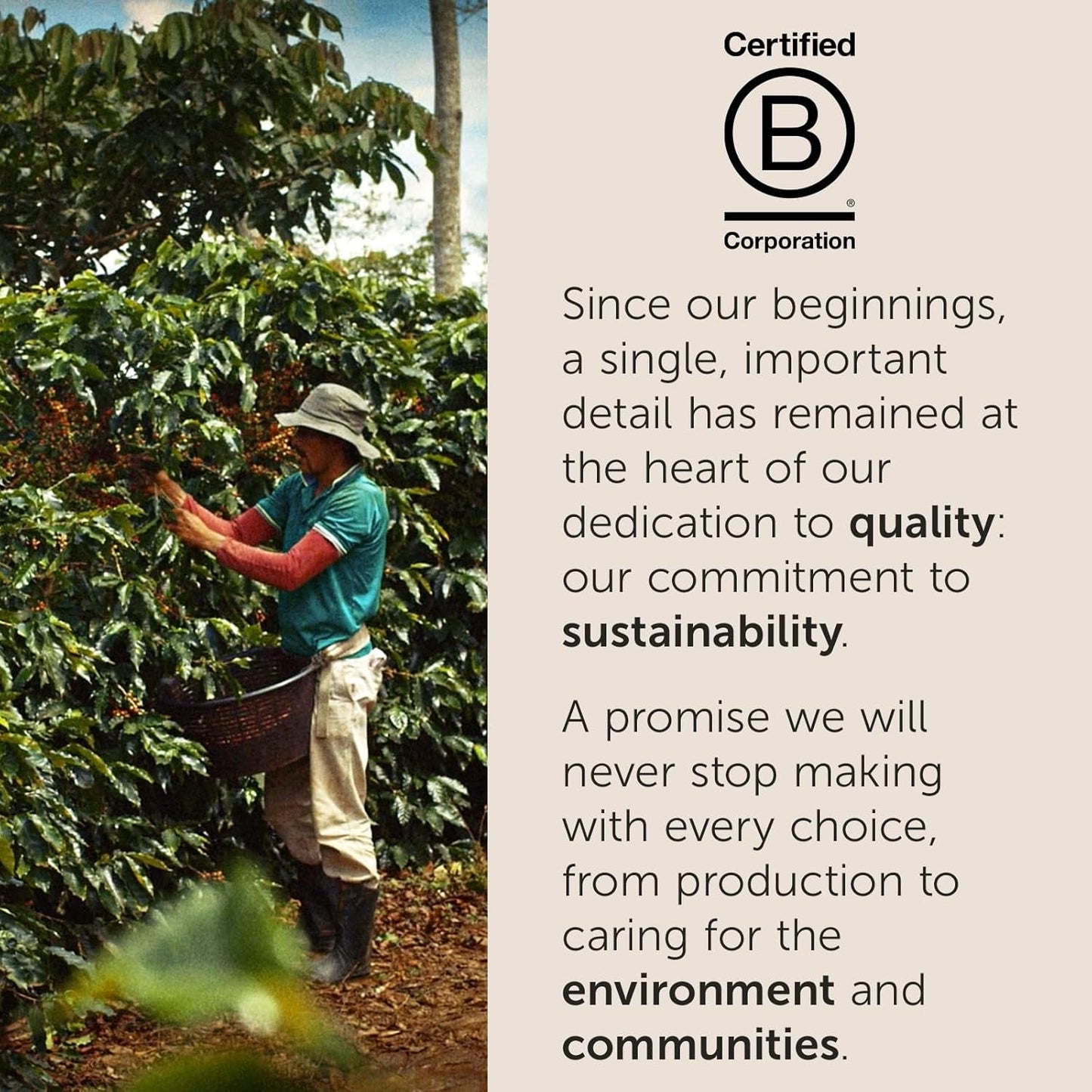 illy, Kaffee E.S.E. Dischetti Einzeldosis CLASSICO, 100% Arabica con note di fiori d'arancia e gelsomino, Sanfter Gesmack e Süßer Nachgeschmack, 1 confezione con 18 compostierbaren kapselsn