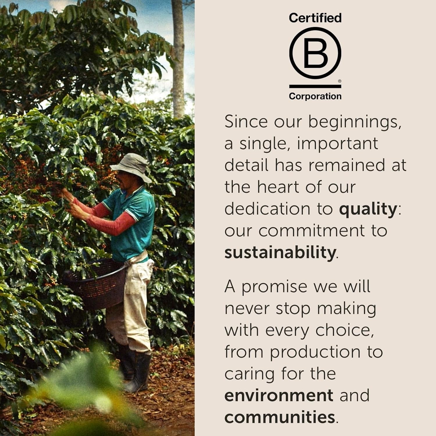 illy, Kaffee E.S.E. Dischetti Einzeldosis CLASSICO, 100% Arabica con note di fiori d'arancia e gelsomino, Sanfter Gesmack e Süßer Nachgeschmack, 1 confezione con 18 compostierbaren kapselsn