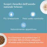 Alimento umido per gatti adulti, filetti di pollo in filetti e gelatina 100% naturale, confezione da 6 scatole x 85g