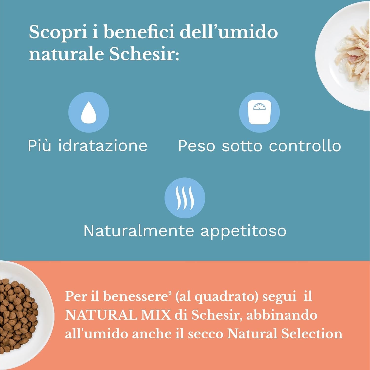 Alimento umido per gatti adulti, filetti di pollo in filetti e gelatina 100% naturale, confezione da 6 scatole x 85g