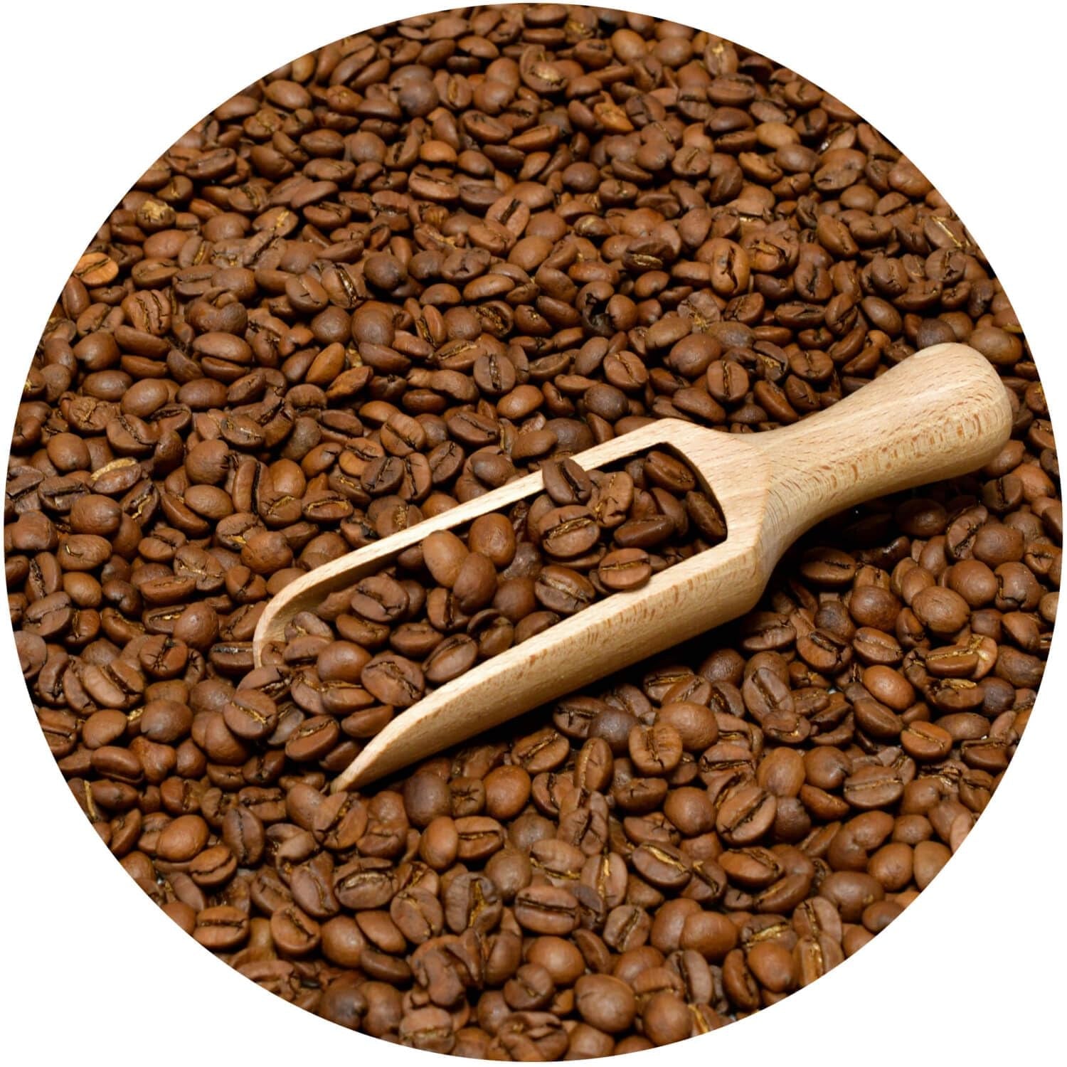 Set di caffè in grani 2x1kg 2000g | Brasile Mogiana | Caffè brasiliano | Caffè speciale | Appena fritto | Torrefazione artigianale del caffè