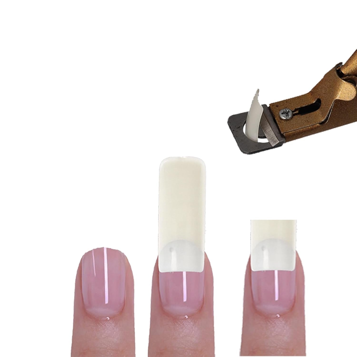 Sun Garden Nails Tipbox 500 punte incl. 3 Tips Colla Tips Nail Tips Colla - Unghie da modellare