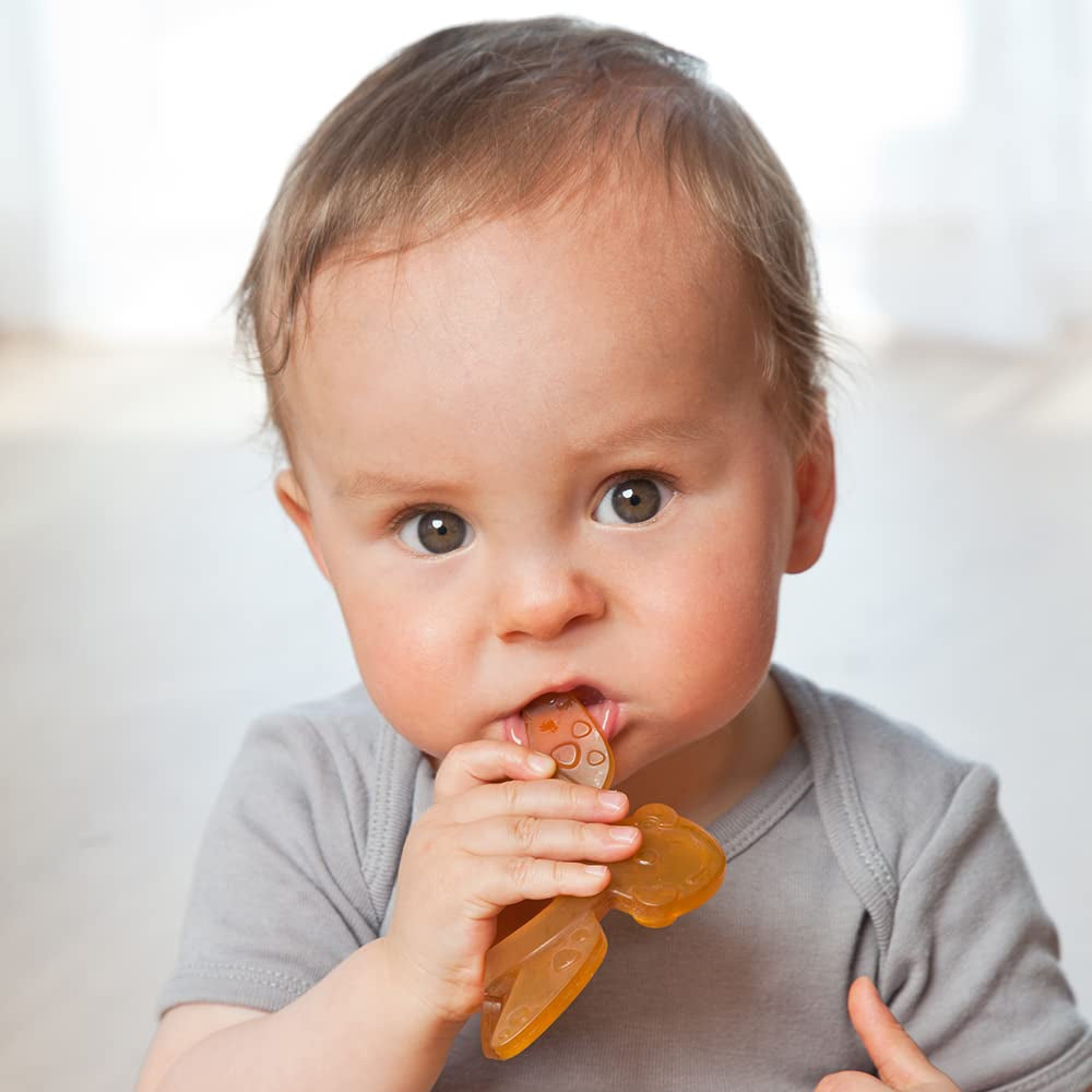 GRÜNSPECHT Anello da dentizione in caucciù naturale organico per la dentizione dei bambini, massaggia le gengive, senza BPA, morbido, favorisce la motricità fine, Tartaruga (639-V2), Marrone