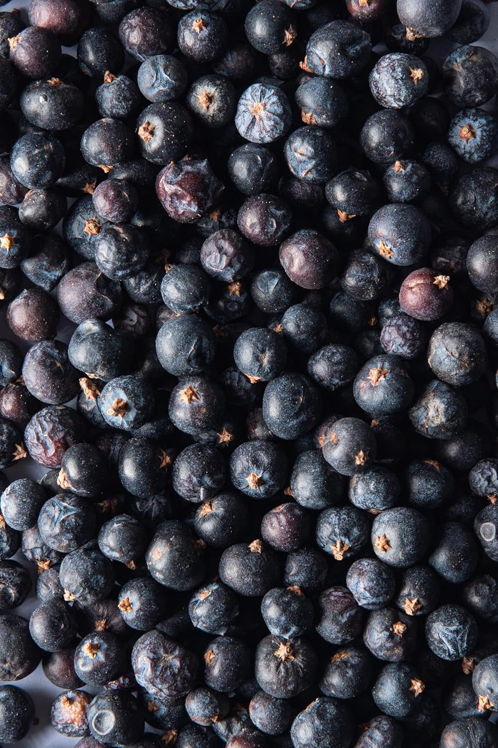 Frutti di ginepro biologico Biojoy (250 g), essiccati e interi, senza additivi (Juniperus communis) Prodotti disidratati Naty Shop
