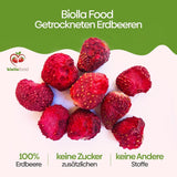 biolla food fragole secche intere, 0,5 kg, 100% naturali. Spuntini salutari per i bambini. Ideale per frullati, muesli d'avena, tè e porridge. Lunga durata. VEGAN, SENZA GLUTINE, CRUDI Naty Shop Prodotti disidratati