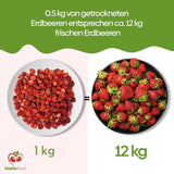 biolla food fragole secche intere, 0,5 kg, 100% naturali. Spuntini salutari per i bambini. Ideale per frullati, muesli d'avena, tè e porridge. Lunga durata. VEGAN, SENZA GLUTINE, CRUDI Naty Shop Prodotti disidratati