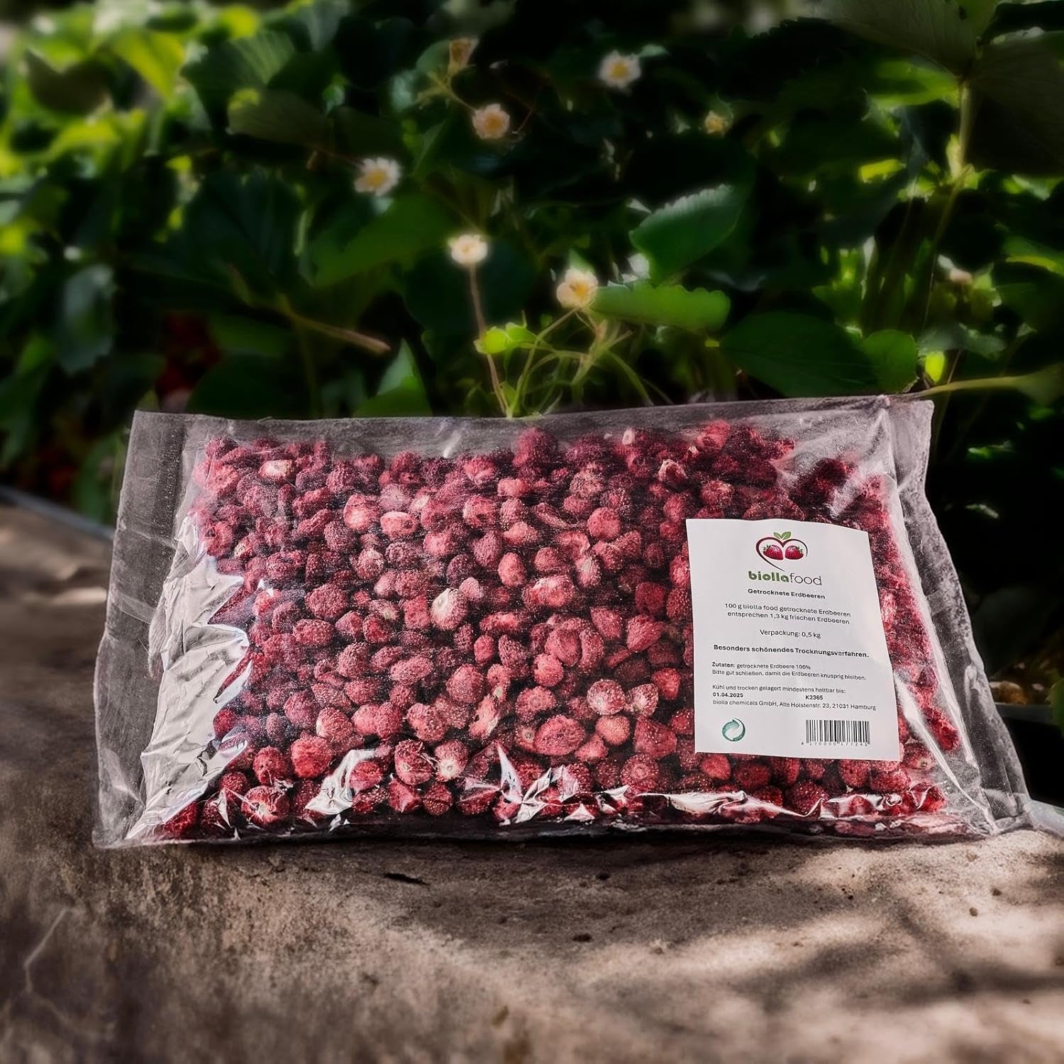 biolla food fragole secche intere, 0,5 kg, 100% naturali. Spuntini salutari per i bambini. Ideale per frullati, muesli d'avena, tè e porridge. Lunga durata. VEGAN, SENZA GLUTINE, CRUDI Naty Shop Prodotti disidratati