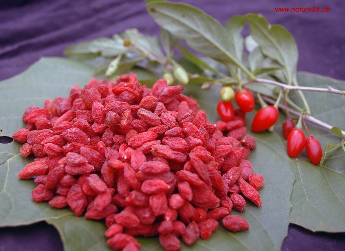 Bacche di goji essiccate - bustina gusto, 1 confezione (1 x 1 kg) Prodotti disidratati Naty Shop Titolo predefinito
