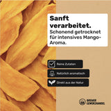 Mango Bremer Gewürzhandel, strisce di mango essiccate, non solforato, senza zuccheri aggiunti, 1kg Prodotti disidratati Naty Shop