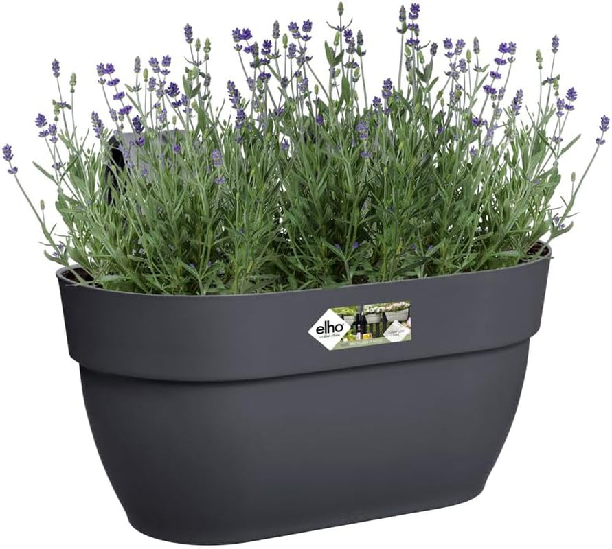 elho Vibia Campana Easy Hanger M 36 - Vaso per balcone ed esterno - Ø 36,0 x H 26,5 cm - Nero/Antracite
