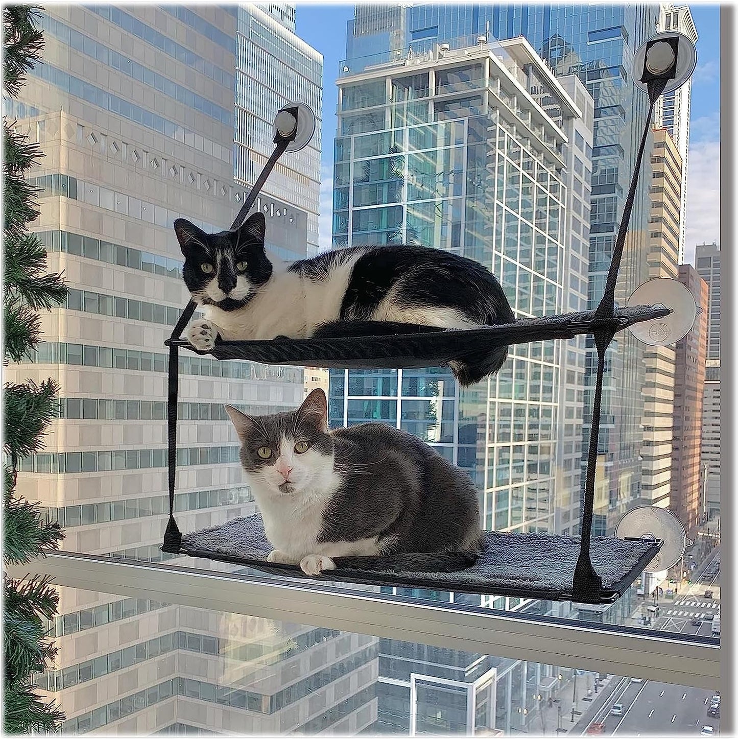 Coperte e mobili, Sedili vicino alla finestra, Animali domestici, Gatti, Letti per gatti, Gatti - Letti, materassi
