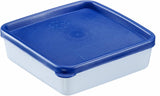 Westmark 4 contenitori per conservazione/congelamento alimenti, incluso coperchio, capacità: 0,25 l ciascuno, impilabili, plastica, Trio, colore: trasparente/blu, 25042270 Contenitori per conservazione alimenti Naty Shop