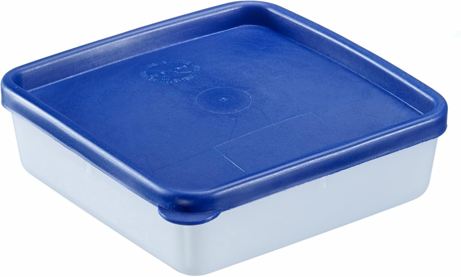 Westmark 4 contenitori per conservazione/congelamento alimenti, incluso coperchio, capacità: 0,25 l ciascuno, impilabili, plastica, Trio, colore: trasparente/blu, 25042270 Contenitori per conservazione alimenti Naty Shop