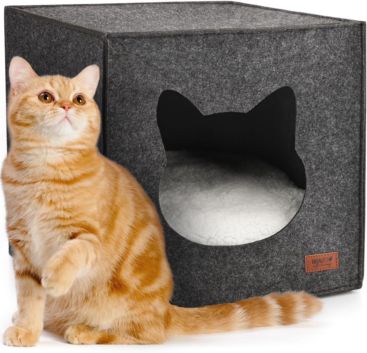 Coperte e Arredi, Animali Domestici, Grotte e Casette, Gatti, Letti per gatti, Gatti - Letti, materassi