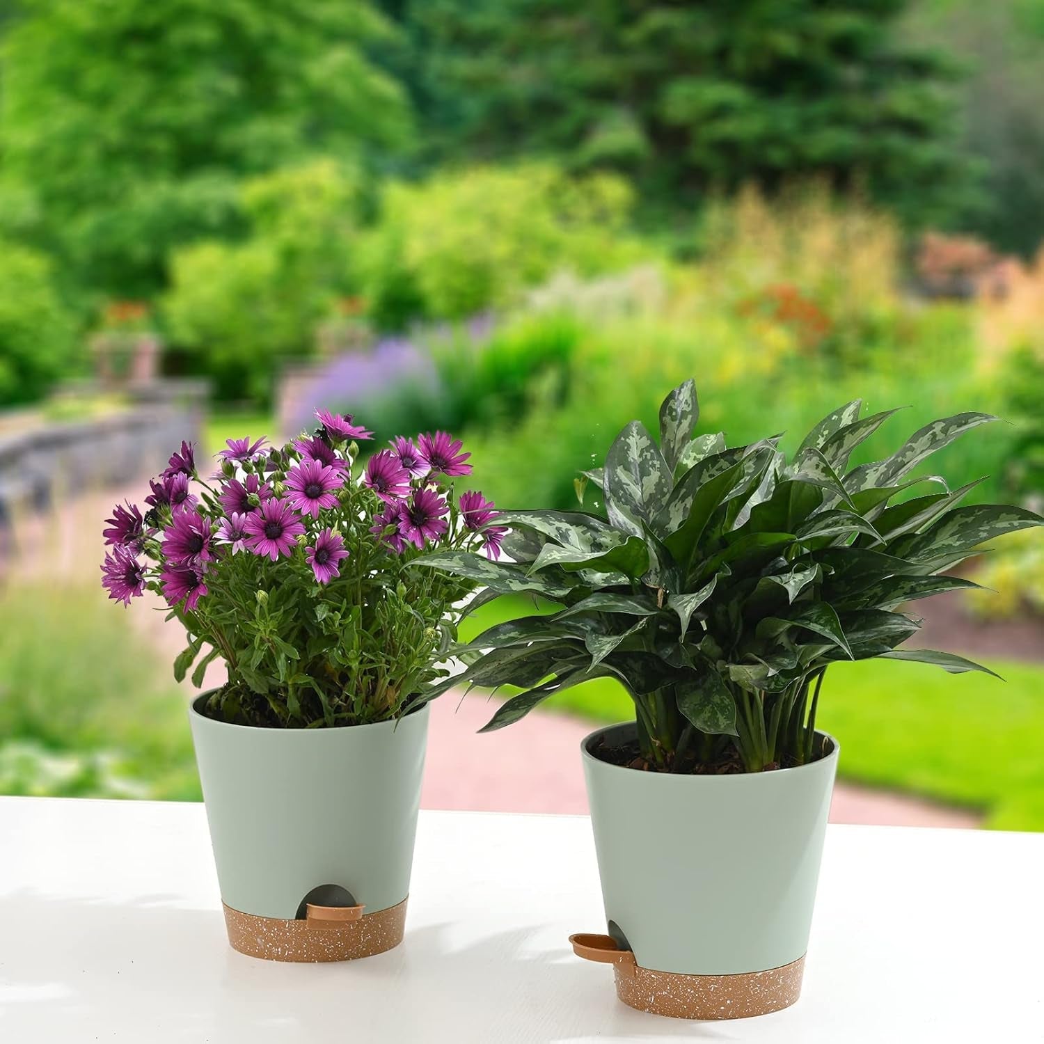 Vaso da fiori 6 pezzi 12,7 cm Fioriera autoirrigante Vaso da fiori per interni ed esterni ad alto drenaggio con vassoio per serbatoio e bordo per irrigazione Fioriera da giardino