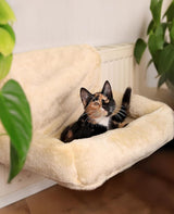 Letti, coperte e mobili, Animali domestici, Gatti, Cucce per gatti, Gatti - Letti, materassi