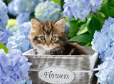 Puzzle per bambini Ravensburger - 12894 Piccolo Gatto - Puzzle con animali per bambini dai 9 anni, con 300 pezzi in formato XXL Puzzle Naty Shop