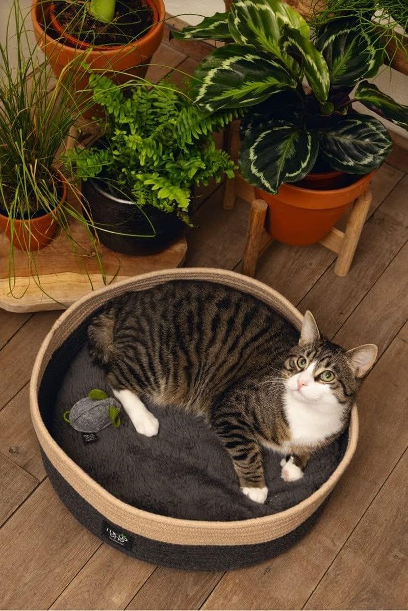 Letti, coperte e mobili, Animali domestici, Gatti, Cucce per gatti, Gatti - Letti, materassi