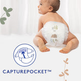 Douceur Naturelle - Mutandine, Taglia 6 (16-26 kg) Confezione da 1 mese - 112 mutandine