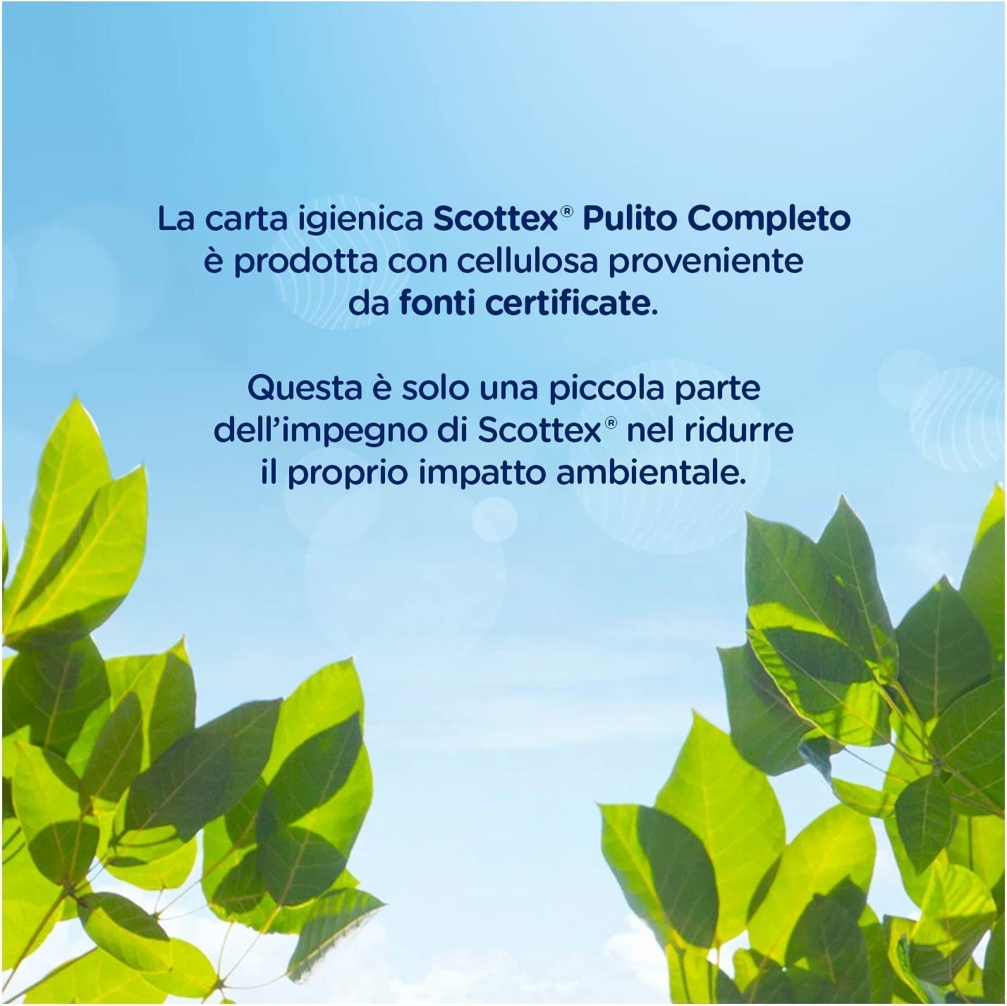 Carta igienica, confezione da 16 maxi rotoli - 1830 G | 16 pezzi (confezione da 1)