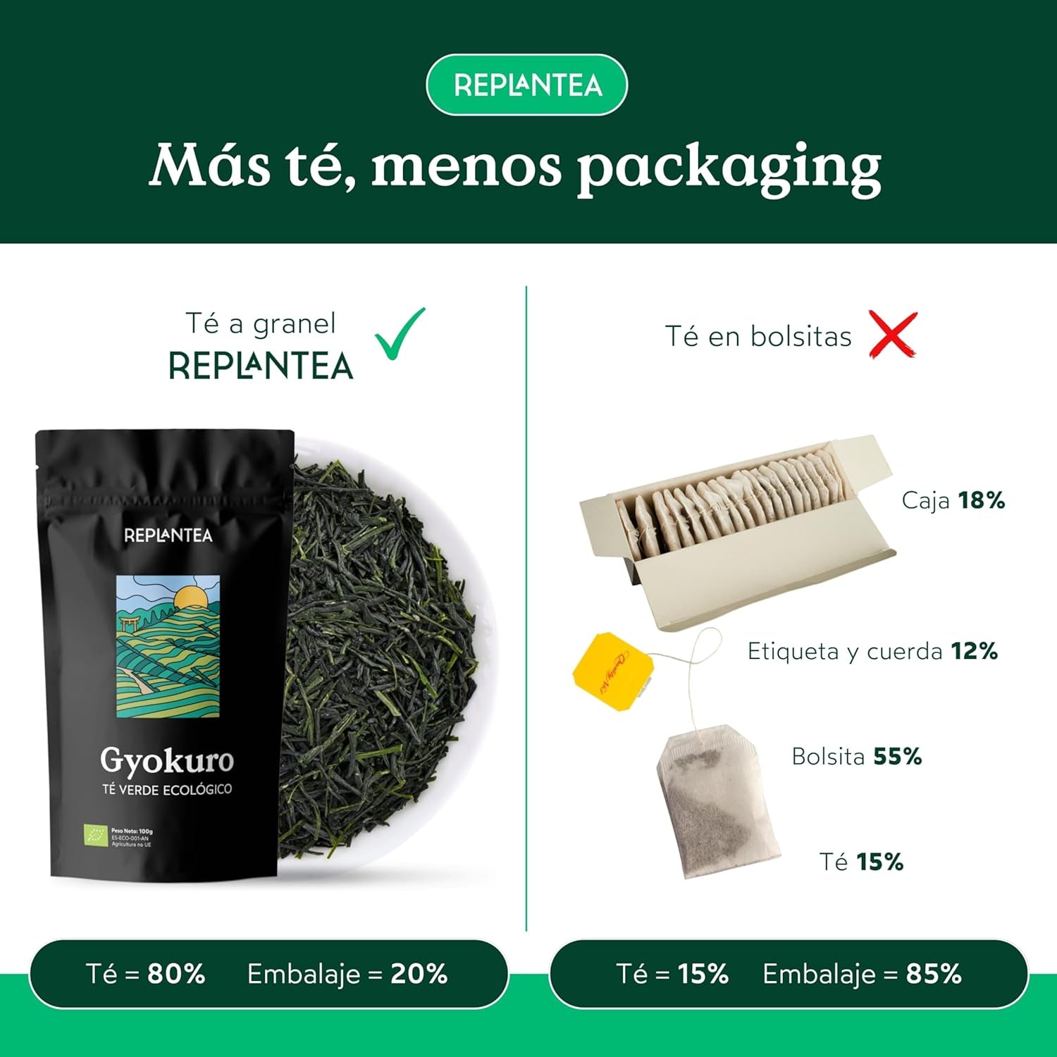 Tè verde giapponese Gyokuro biologico (100 g) | Tè sfuso premium | Gusto umami raffinato e dolcezza delicata | RIPIANTARE