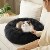 Letti, coperte e mobili, Animali domestici, Gatti, Cucce per gatti, Gatti - Letti, materassi