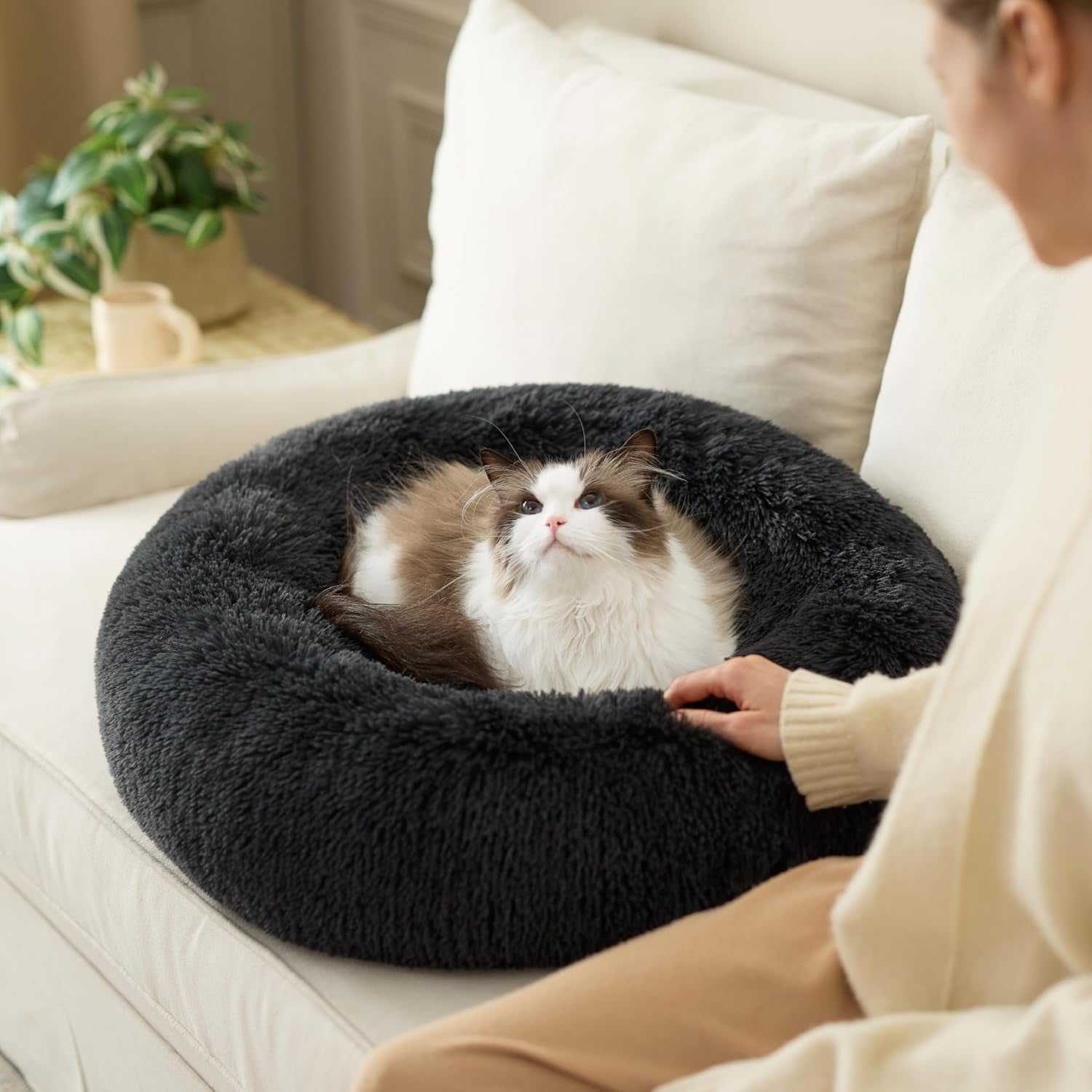 Letti, coperte e mobili, Animali domestici, Gatti, Cucce per gatti, Gatti - Letti, materassi