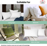 Inserto per cuscino decorativo per la casa alla moda Supporto lombare ipoallergenico per divano da esterno per la casa Lavabile in lavatrice 12 "x 20"
