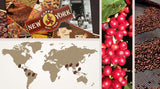 Caffè in grani New York Caffe EXTRA 500g