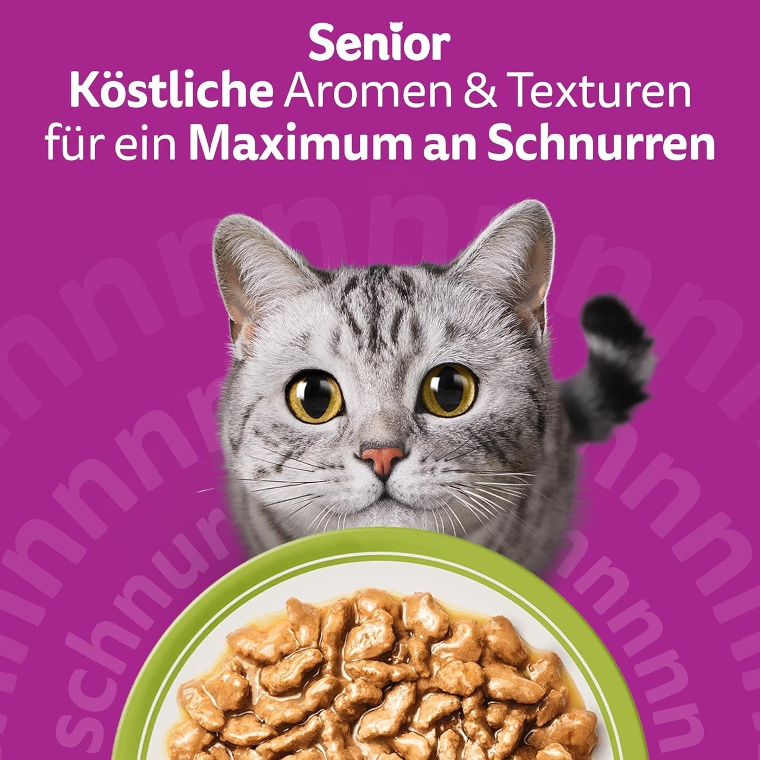 Whiskas Senior 7+ Selezione Mista di Cibo Umido in Salsa, 48 Bustine, 12x85g (Confezione da 4) - Cibo Umido di Alta Qualità per Gatti dai 7 Anni in su