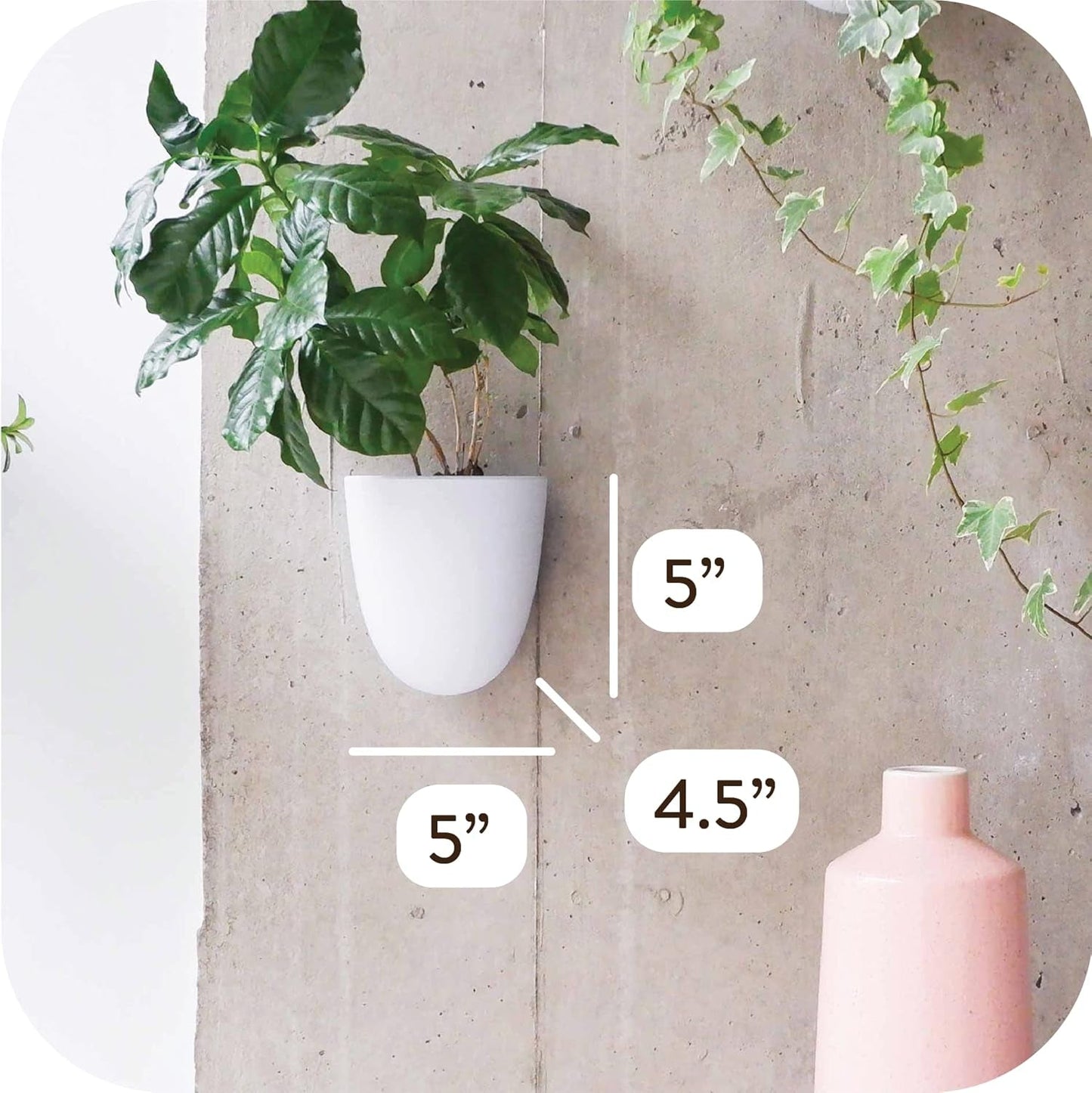 Vasi da parete autoirriganti Virgo (set da 6) - Facili da annaffiare e installare - Leggeri - Crea il tuo giardino verticale - Vasi da parete per piante da interno