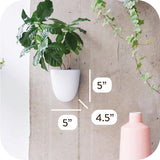 Vasi da parete autoirriganti Virgo (set da 6) - Facili da annaffiare e installare - Leggeri - Crea il tuo giardino verticale - Vasi da parete per piante da interno