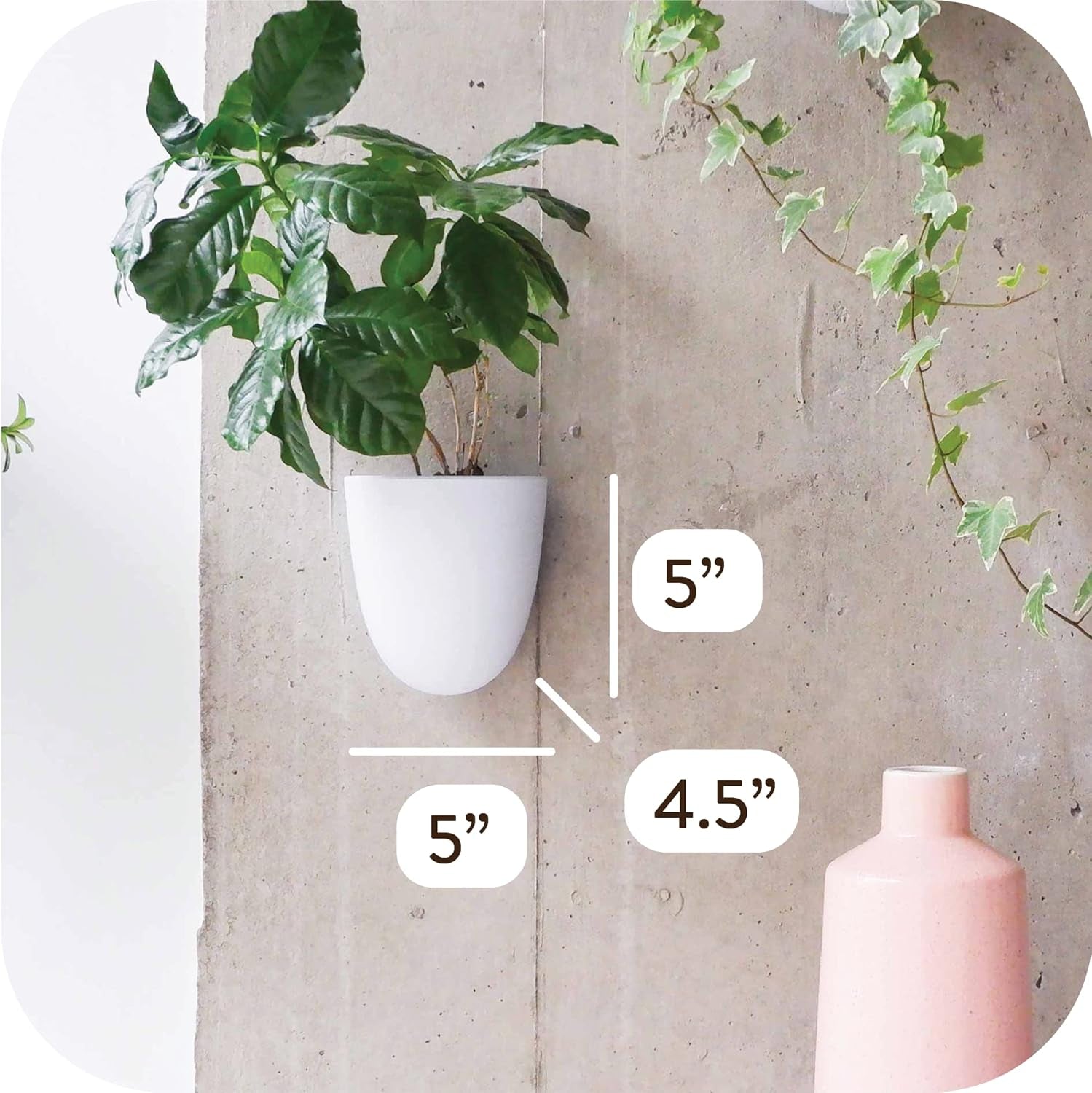 Vasi da parete autoirriganti Virgo (set da 6) - Facili da annaffiare e installare - Leggeri - Crea il tuo giardino verticale - Vasi da parete per piante da interno
