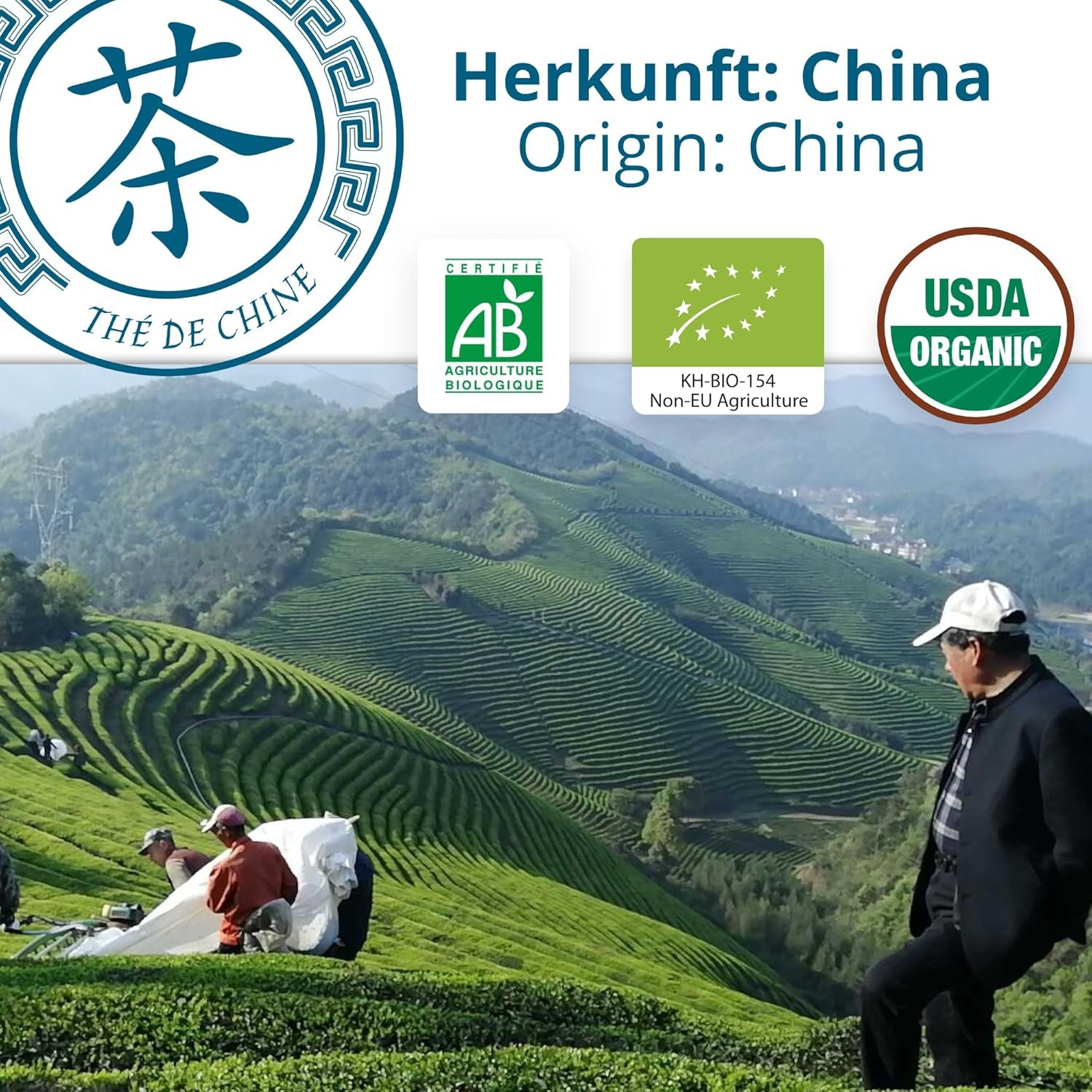 Khla - Tè Oolong Bio 100 G - Tè Blu - Tè Sfuso Naturale - Tè Asiatico Biologico - Sfuso e Tagliato - Tè alle Erbe e Infuso - Dalla Cina