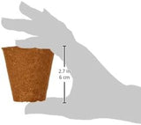 Vasi Dehner per piantine, rotondi, Ø 6 cm, 96 pezzi, marroni