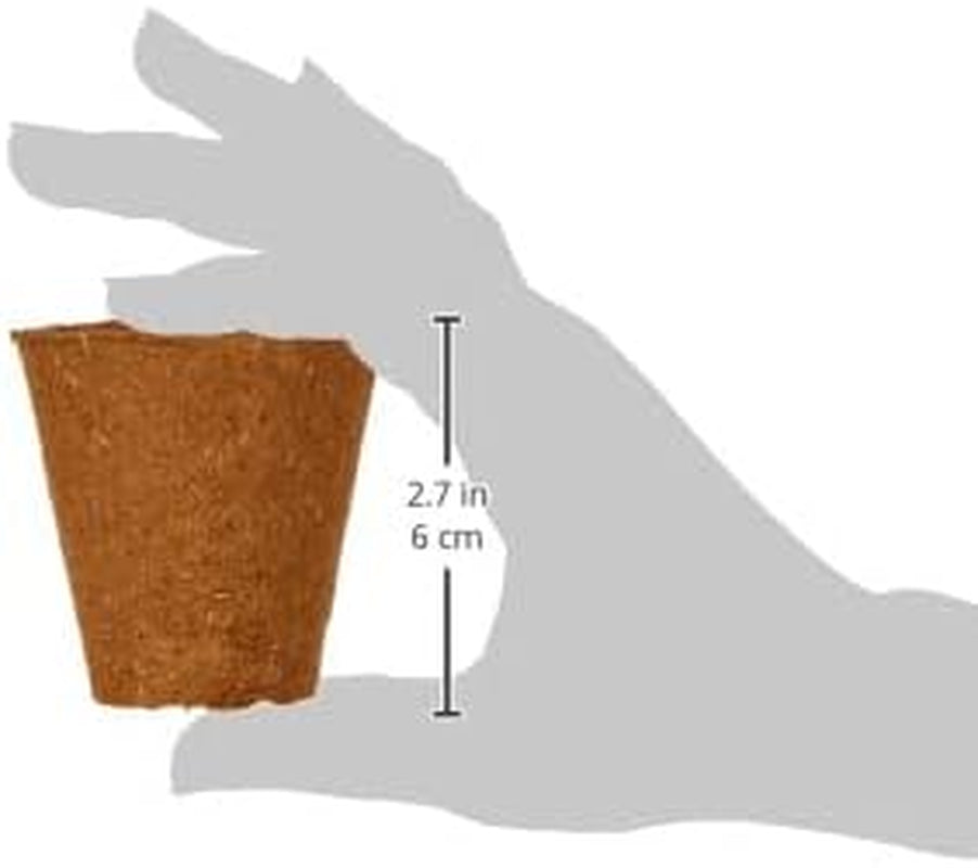 Vasi Dehner per piantine, rotondi, Ø 6 cm, 96 pezzi, marroni