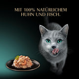 SHEBA Filetti Adult Katzenfutter in Salsa con Pollo, Hochseefisch und Garnelen 16 x 60g Conchiglia