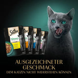 SHEBA Nature's Collection in Salsa - Cibo umido per gatti di alta qualità, varietà fine (MSC) in bustine porzionate - 72 x 85 g