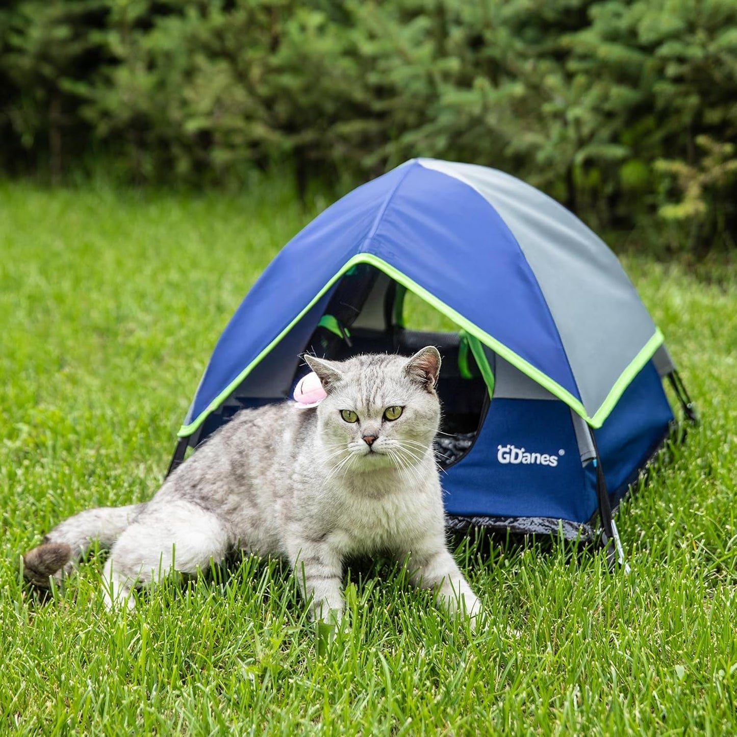 Coperte e Arredi, Animali Domestici, Grotte e Casette, Gatti, Letti per gatti, Gatti - Letti, materassi