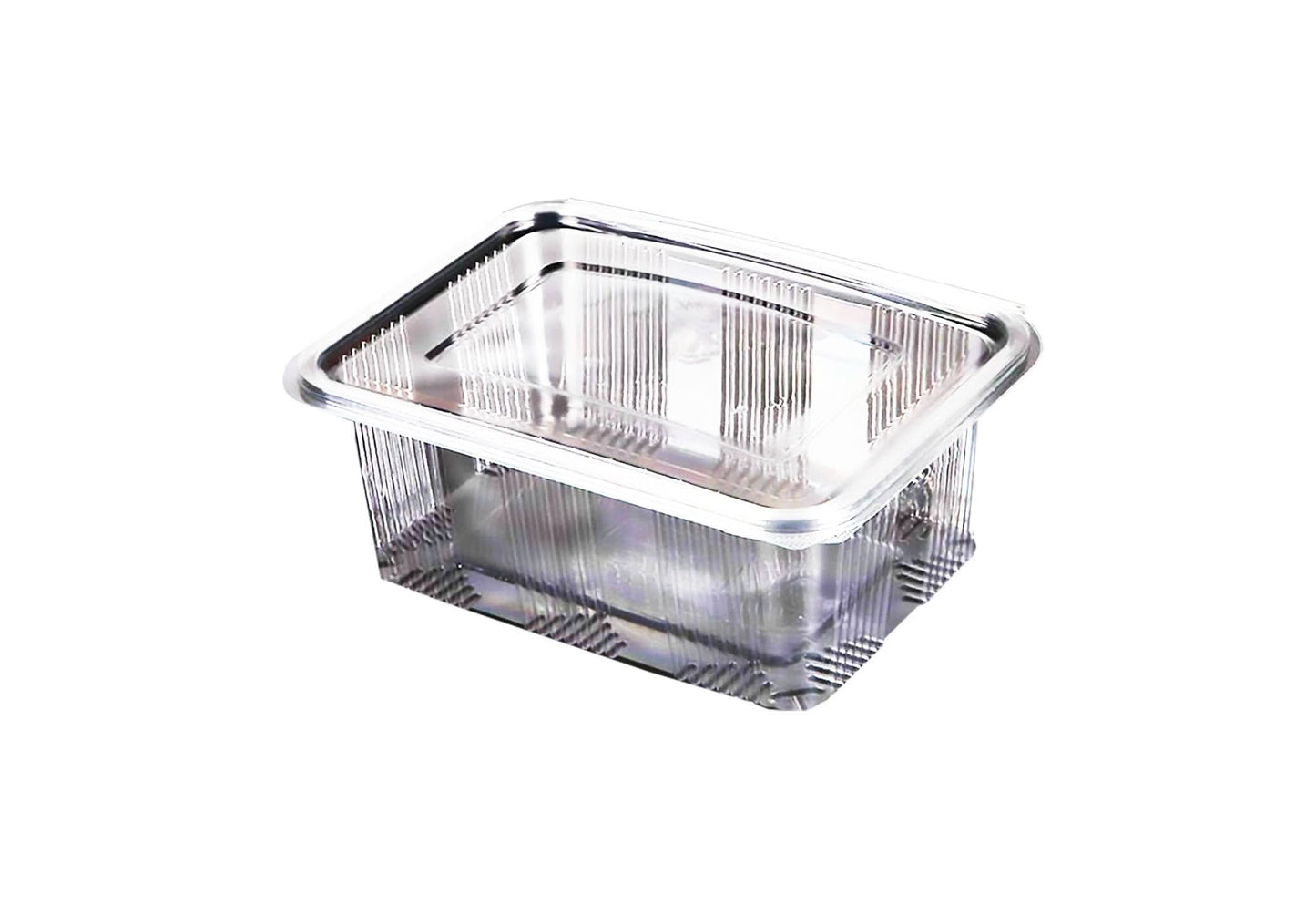Casseruola in plastica da 2000 ml, set da 10 Catering Nati Shop