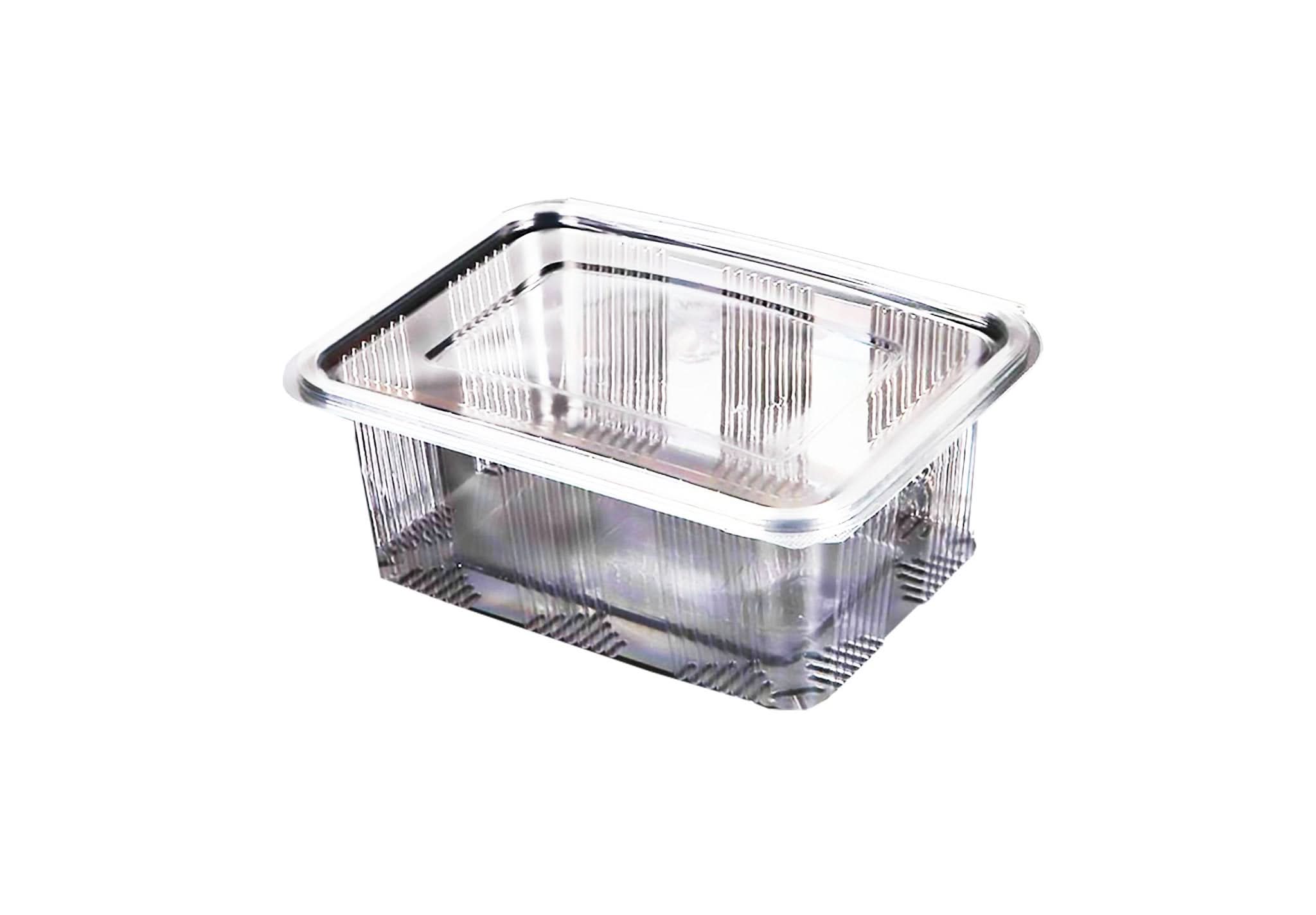 Casseruola in plastica da 2000 ml, set da 10 Catering Nati Shop