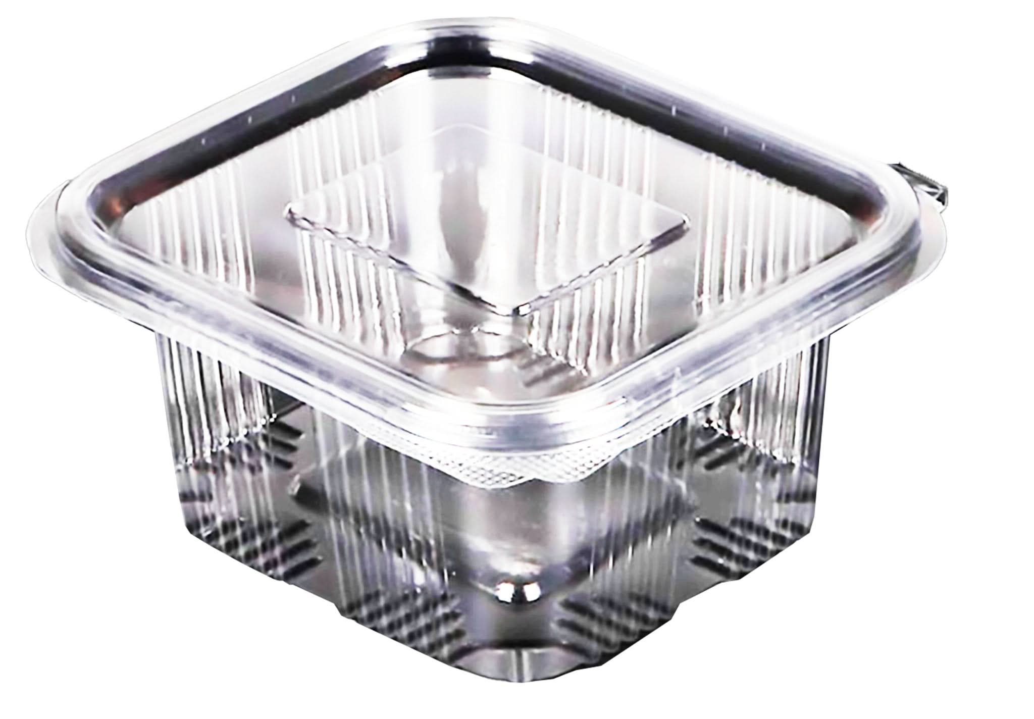 Casseruola in plastica da 500 ml, set da 10 Catering Nati Shop