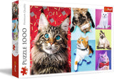 Puzzle - "1000" - Ritratti di cani divertenti Puzzle Naty Shop Gatti divertenti