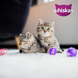 Whiskas Junior Classic Selection Cibo umido per gatti in salsa, 48 bustine, 12 x 85 g (confezione da 4) - Cibo umido di alta qualità per gatti in crescita, da 2 a 12 mesi