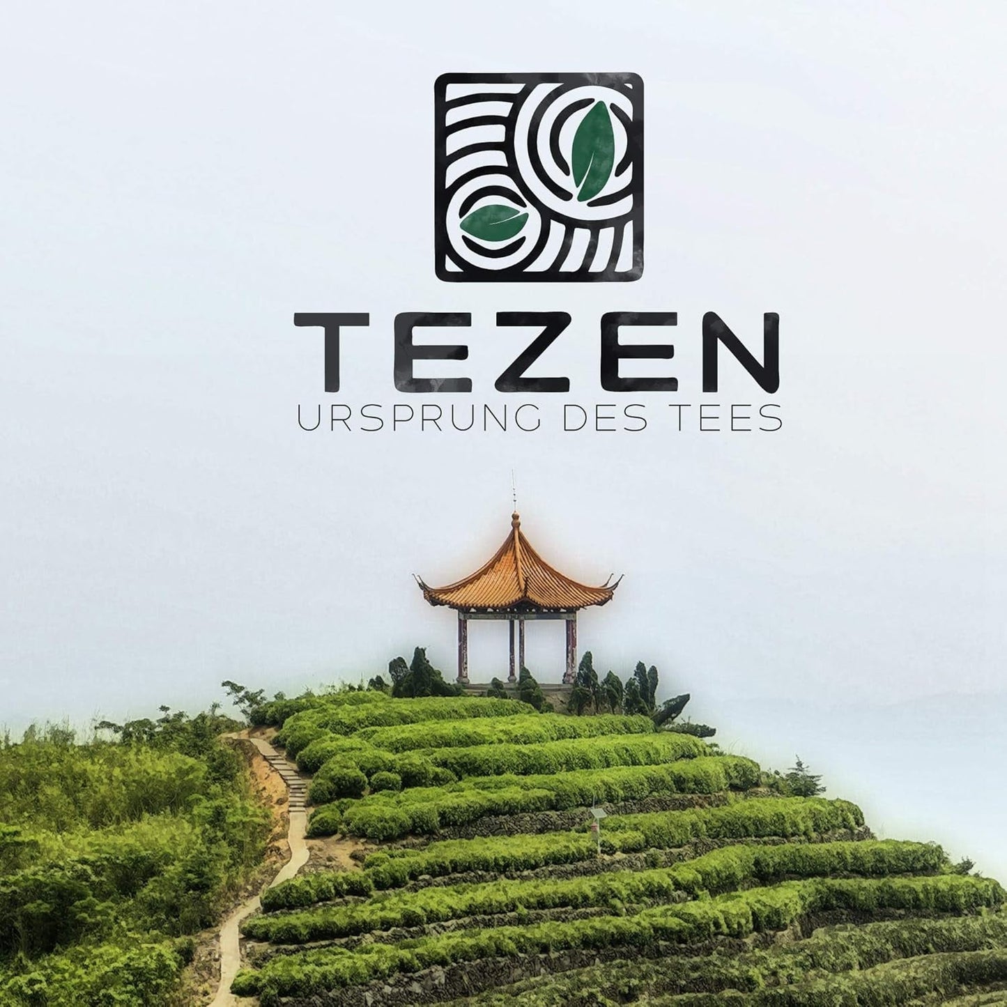 Tè al latte Oolong di Alishan, Taiwan | Jin Xuan Milky Oolong di alta qualità 100% naturale non aromatizzato (100 g)