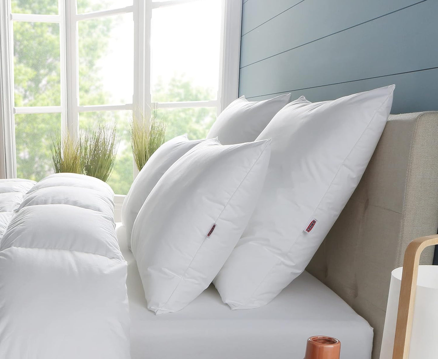 Cuscino DODO Premium, 60 X 60 Cm, Comfort Medio, Cuscino Cloud De Douceur | Antiacaro e soffice | Cotone Percalle + Piping Lavabile in lavatrice a 40°C Cuscini standard Naty Shop Bianco 60/60