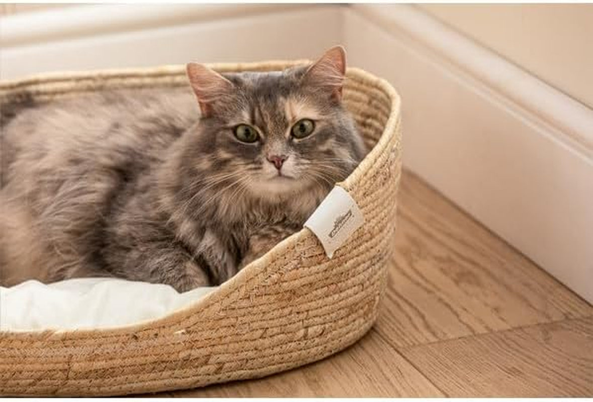 Letti e Divani, Coperte e Arredi, Animali Domestici, Gatti, Letti per gatti, Gatti - Letti, materassi